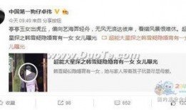 卓伟爆料张嘉倪结婚视频,张嘉倪甜蜜大婚，幸福时刻感动网友